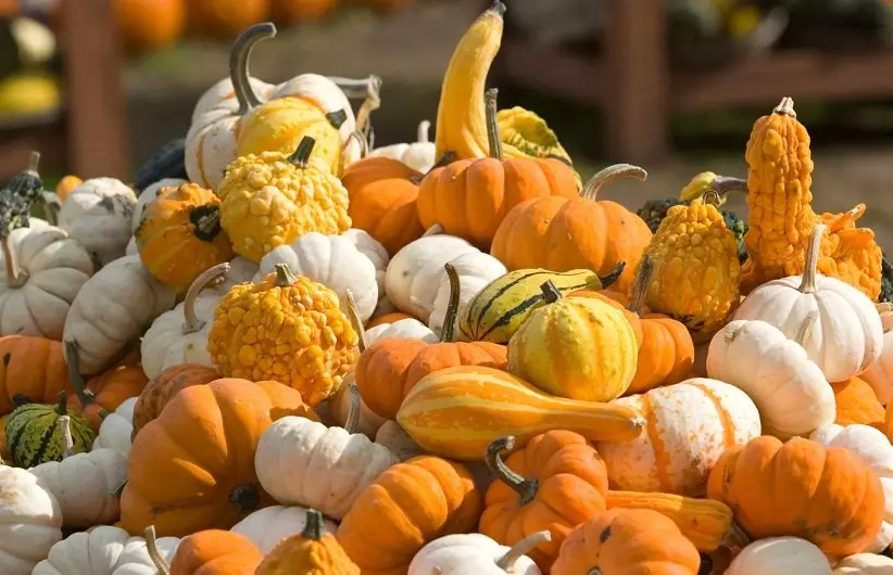 با ویتامین های موجود در این خوراکی های ارزان قیمت و دم دستی چشم شما مثل عقاب تیز میشه