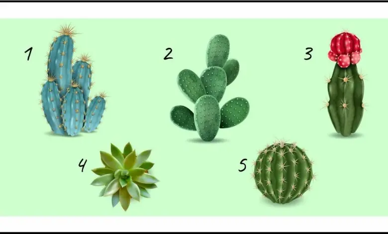 تست شخصیت شناسی | یکی از این کاکتوسا نشون میده چقدر میتونی احساساتتو کنترل کنی
