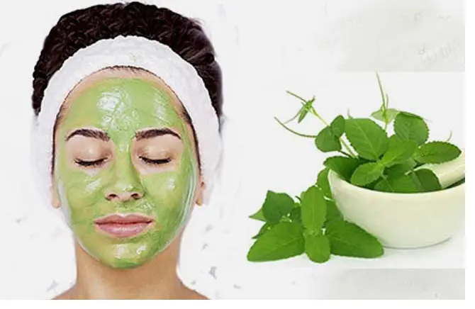 طرز تهیه ساخت ماسک ضدپیری قوی با مواد کاملاً ارگانیک و طبیعی در خانه