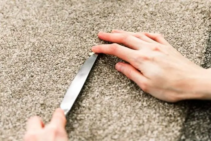 آدامس چسبیده به فرش؟ استرس نگیر | با این ترفند تو یک چشم بهم زدن فرش رو تمیز کن
