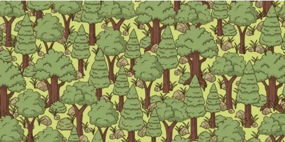 بازی فکری: فقط چشم عقابی ها تو 5 ثانیه جوجه تیغی پنهان را پیدا می کنند