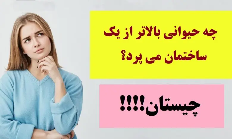 چیستان روز | چه حیوانی بالاتر از یک ساختمان می پرد؟
