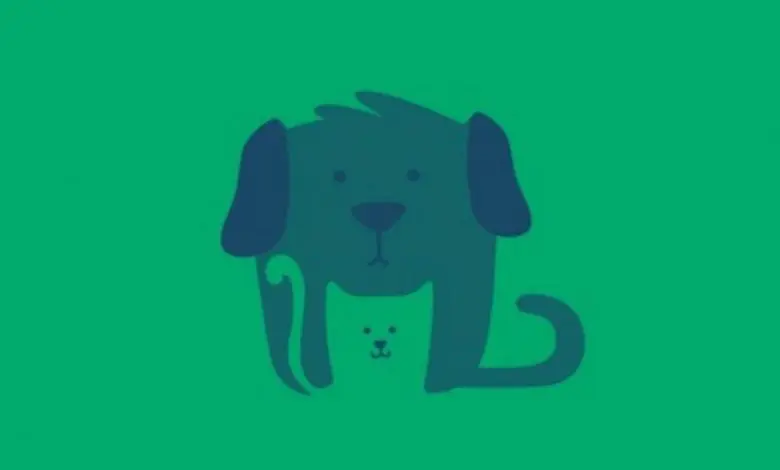 تست شخصیت شناسی | عشقت تو رابطه وفادار و میتونه خوشبختت کنه؟ این تست رو انجام بده بفهمی