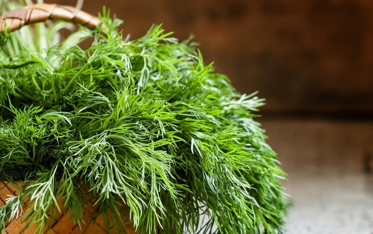  خواص باورنکردنی این سبزی متعجبتان می کند! 