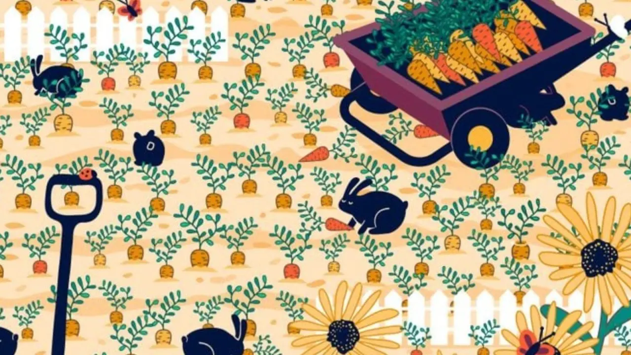 بازی فکری : فقط چشم عقابی ها می‌توانند ببینند! آیا می‌توانید حلقه پنهان در تصویر را در ۹ ثانیه پیدا کنید؟