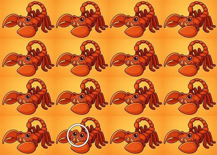 جواب-بازی-عقرب-متفاوت