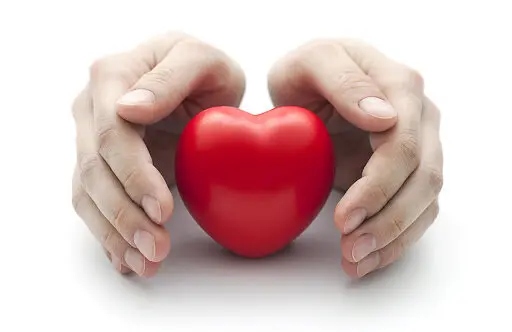  با این 4 خوراکی هیچ گاه قلب شما مریض نمی شود 