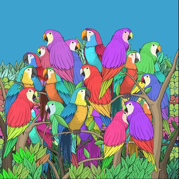 بازی فکری :فقط ۱ نفر از هر ۹۶ نفر این کار را انجام می‌دهد! پروانه پنهان را در ۹ ثانیه پیدا کنید