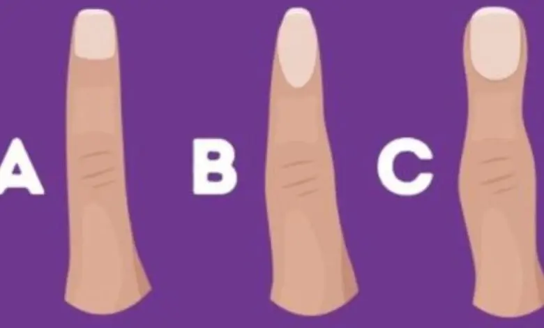 تست شخصیت شناسی | کدوم یکی از این انگشتا شبیه انگشت شماست؟ یکیو انتخاب کن و روحیاتت رو بهتر بشناس