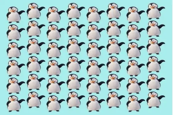 بازی فکری : فقط خیلی باهوش ها تو 3 ثانیه پنگوئن متفاوت و پیدا می کنند!