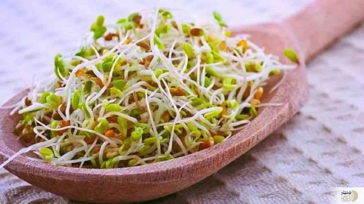 پتاسیم زیاد در این جوانه قاتل درجه یک فشار خون در جهان است | هر روز مصرف شود

