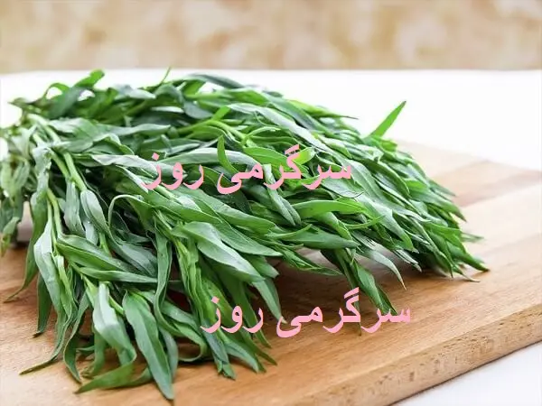 فصل حذف عینک با این سبزی گرم و خشک سرشار از ویتامین رسید