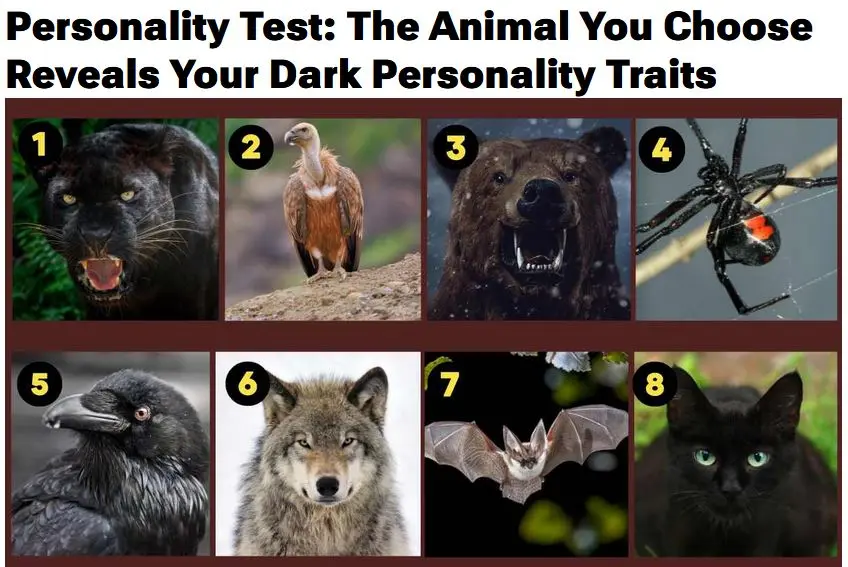 تست شخصیت شناسی | حیوانی که انتخاب می‌کنید ویژگی‌های تاریک روح و شخصیت درونی شما را آشکار می‌کند
