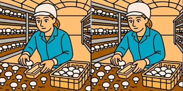 بازی فکری : 3 تفاوت تصویر خانم کجاست؟ اگر خیلی تیزبینی، در عرض 20 ثانیه پیدا کن!