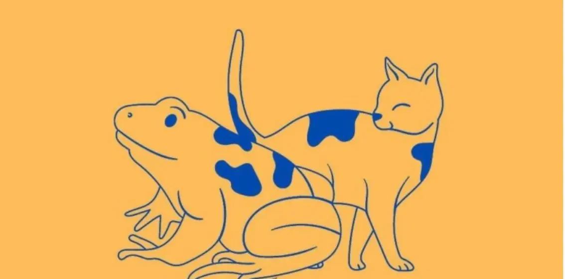 تست شخصیت شناسی | چقدر نسبت به موضوعات دورت بی تفاوتی؟ بگو اول چی دیدی؟