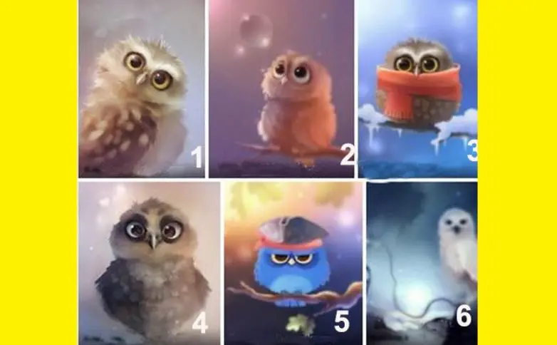 تست شخصیت شناسی | آدم مغرور ، رو مخ ، مودب یا... هستی؟ یک جغد انتخاب کن