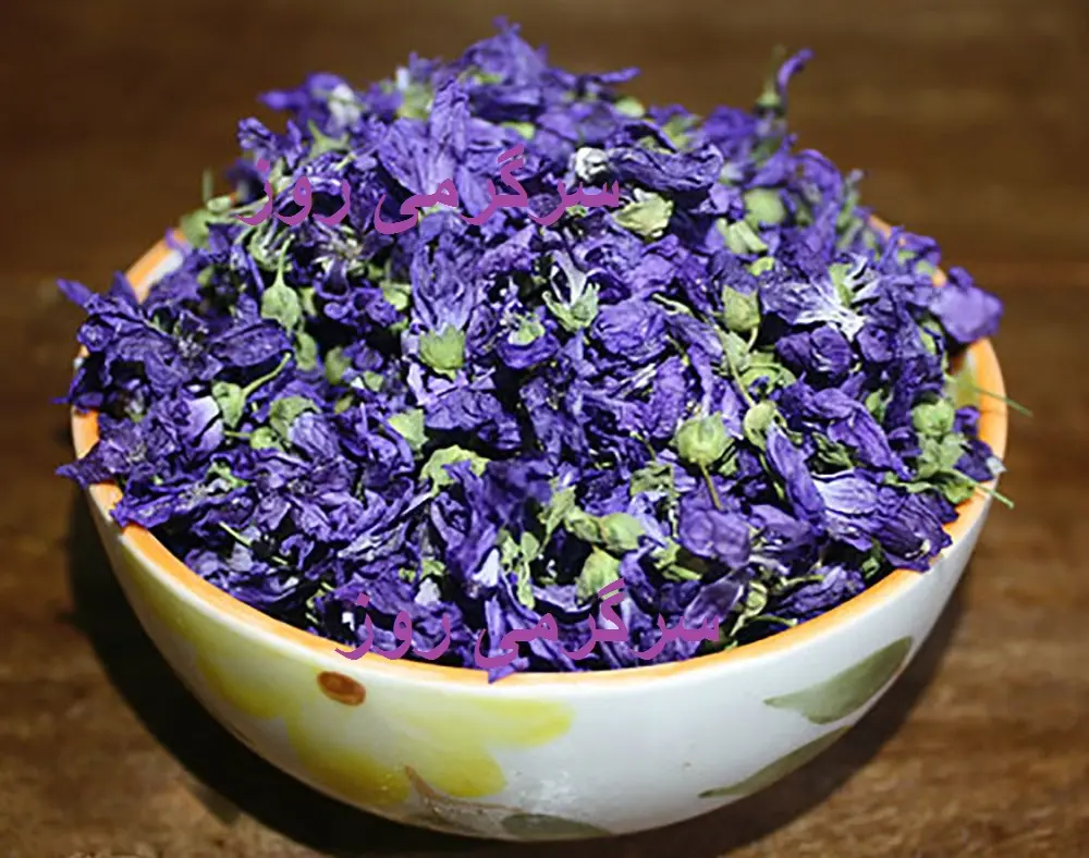 این گیاه را دست کم نگیرید! / از سرفه خشک تا اگزما با این گیاه به جنگ بیماری‌ها بروید