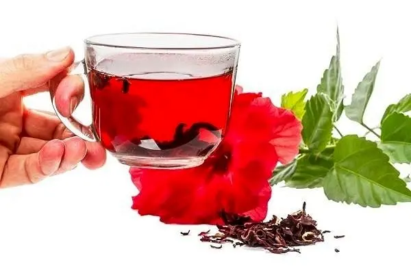 این چای سرشار از آنتی اکسیدان است و چربی خون، فشار خون را تنظیم، کبد چرب را درمان می کند