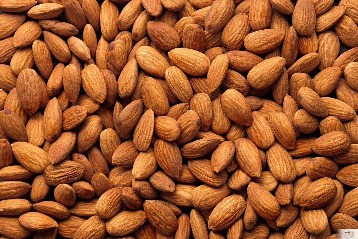 قاتل بی رحم برای فشار خون در این دانه + 30 خاصیت برای 40 سال جوان تر شدن و 100 سال زندگی بدون بیماری

