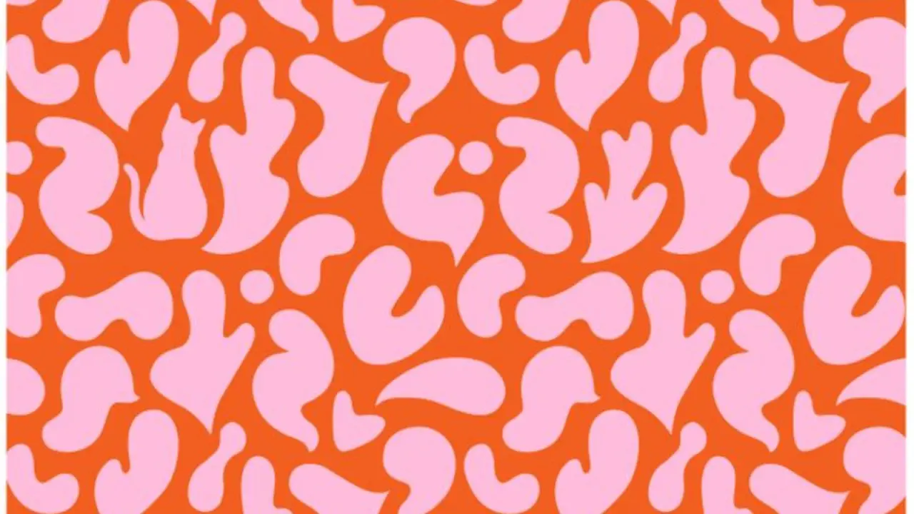 بازی فکری : از هر ۱۵۰ نفر فقط ۱ نفر موفق می‌شد که گربه‌ی پنهان شده را در ۵ ثانیه پیدا کند!