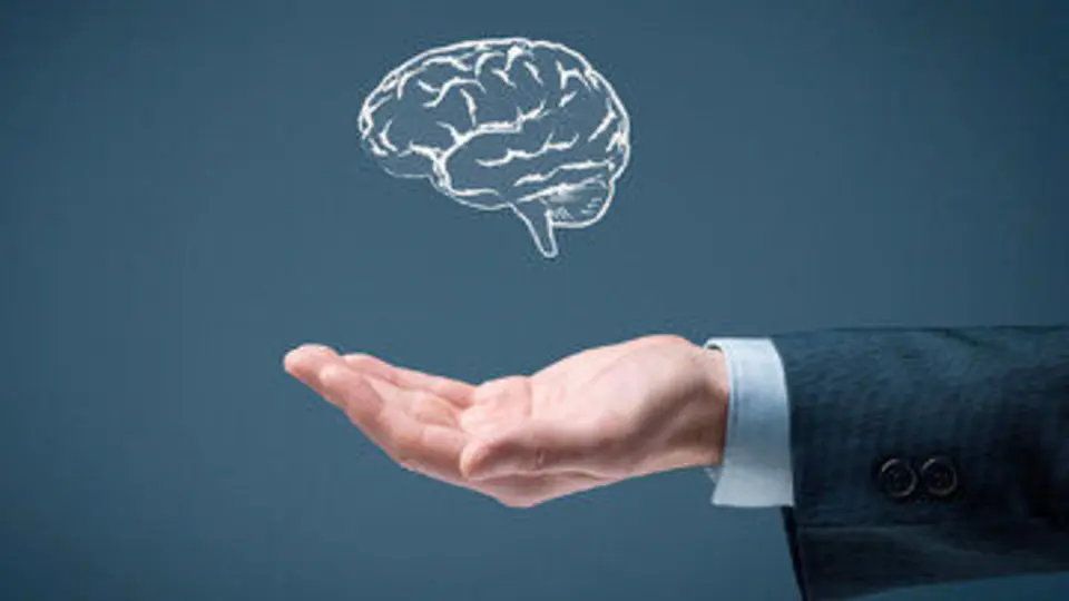  با این خوراکی‌ها مغز شما ضد آلزایمر می شود | بهترین خوراکی های تقویت حافظه 