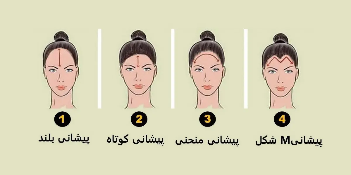 تست شخصیت شناسی | شکل پیشانی شما رازهایتان را لو میدهد | با انجام این تست به شخصیت  خود و دیگران بیشتر پی ببرید