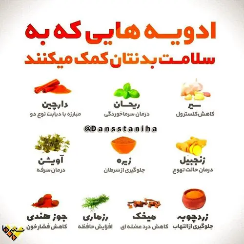 خاصیت+ادویه+ها