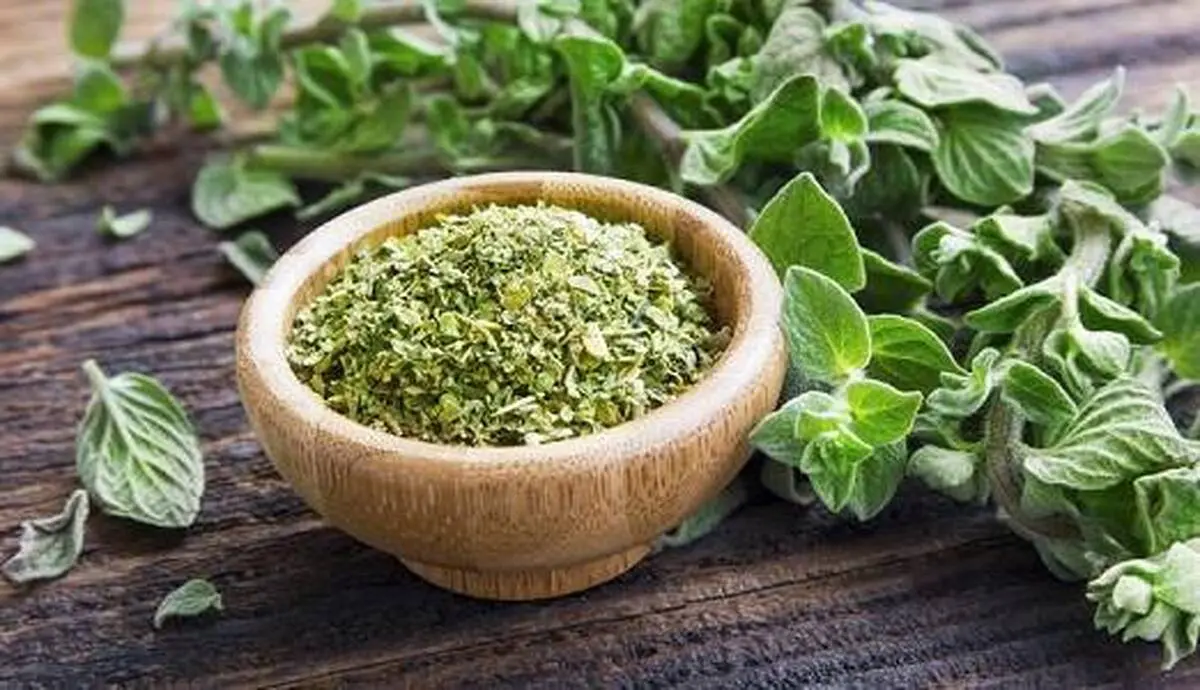  این گیاه موثر برای کبد عملکرد روده‌ها را منظم ، درد معده و بی‌اشتهایی را تسکین می‌دهد 