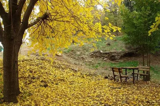 سفری لذت بخش به زیباترین روستای نزدیک تهران در پاییز؛ روستای باغگل در یک ساعتی تهران