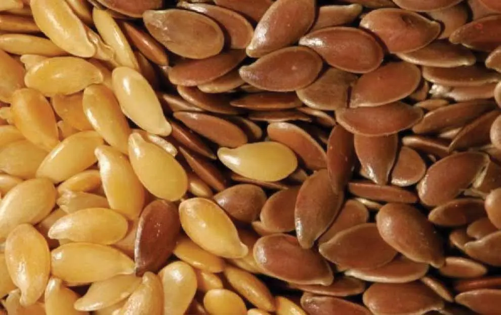 ترکیب 7 دانه پادشاه شما را از ناشتا تا شام سیر و قوی نگه می دارد + درمان قند خون و چربی سوزی و عضله سازی

