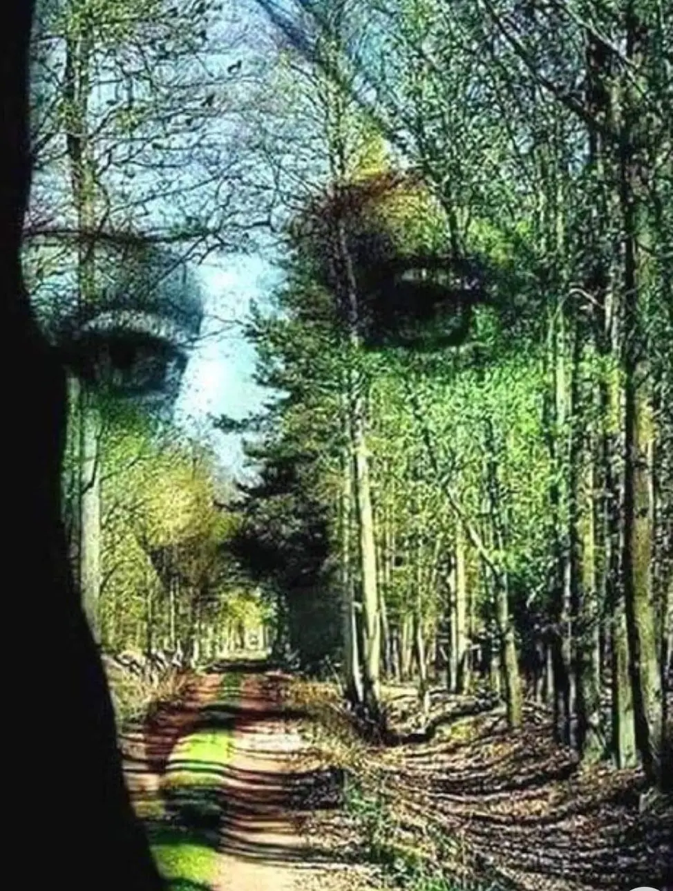 تست شخصیت شناسی | بگو اول چی دید تا بگم چقدر تلاش میکنی تا بقیه تو آسایش باشن