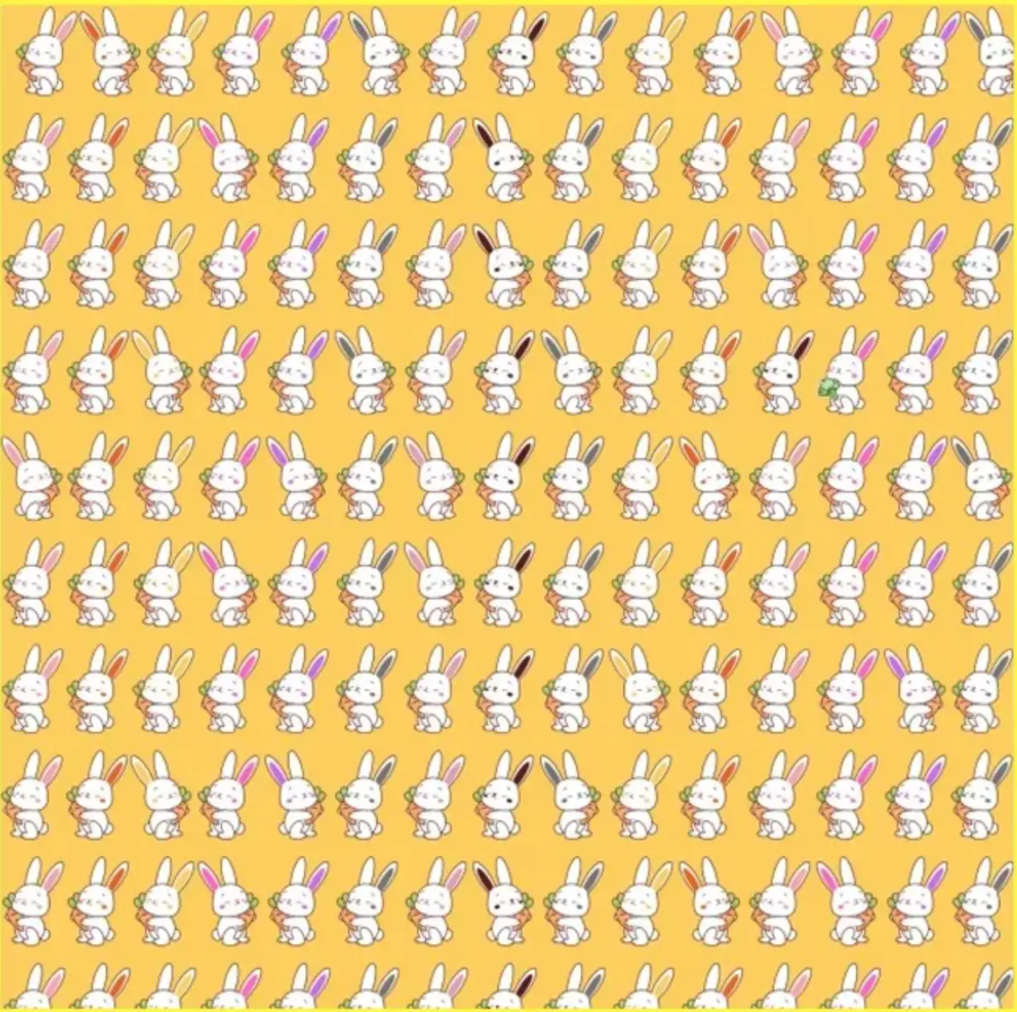 بازی فکری : فقط اونایی که دید خلبانی دارن می تانند در 7 ثانیه خرگوش بدون هویج وپیدا کنند!