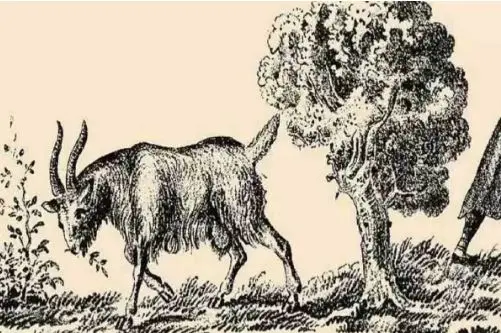 بازی فکری