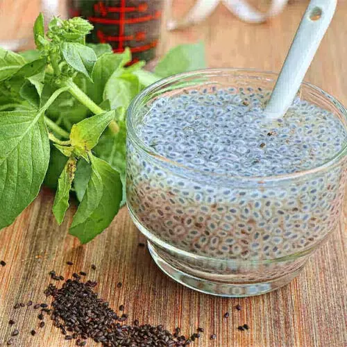 آقایان از خوردن این دانه غافل نشید | معجزه تخم شربتی در زندگی مردان