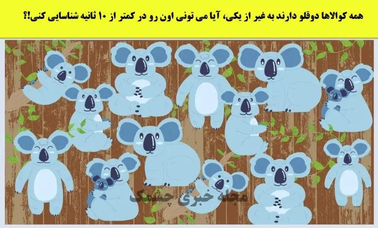 تست هوش | تفاوت کوالاهارو زیر 5 ثانیه پیدا کنی یک نابغه واقعی هستی