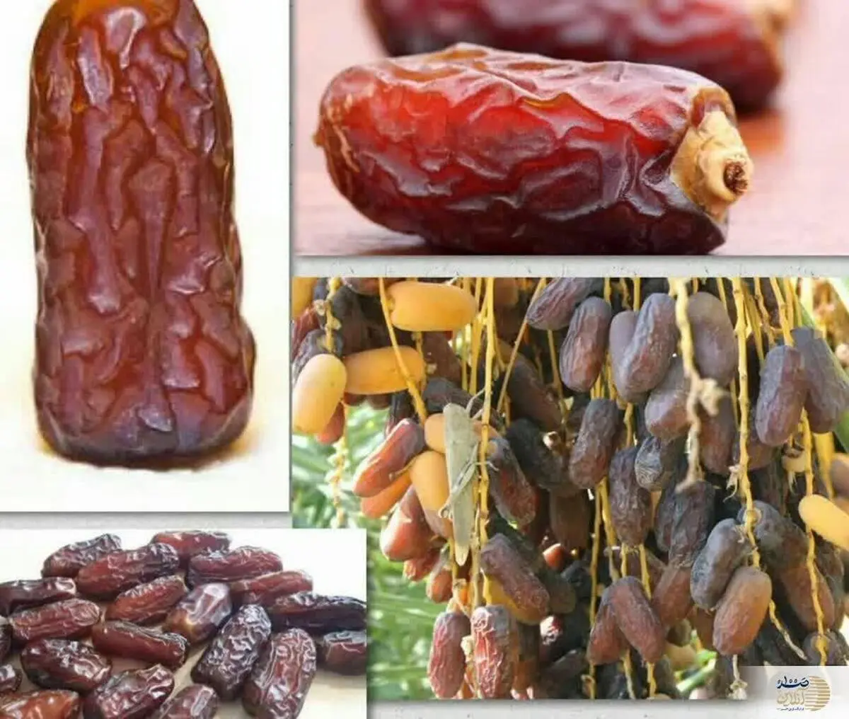 تمییز کننده اصلی کبد در ناشتای صبح این میوه گرم پادشاه است

