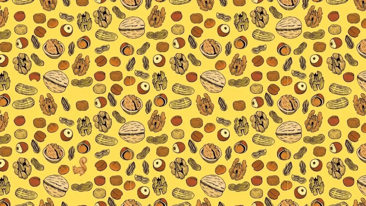 بازی فکری : برای پیدا کردن سنجاب پنهان شده بین آجیل‌ها فقط 8 ثانیه وقت دارید!