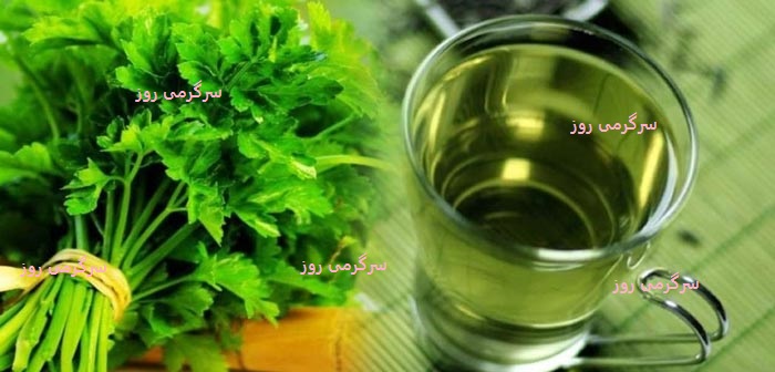  پایان فقر آهن و کم خونی با مصرف ناشتای این گیاه