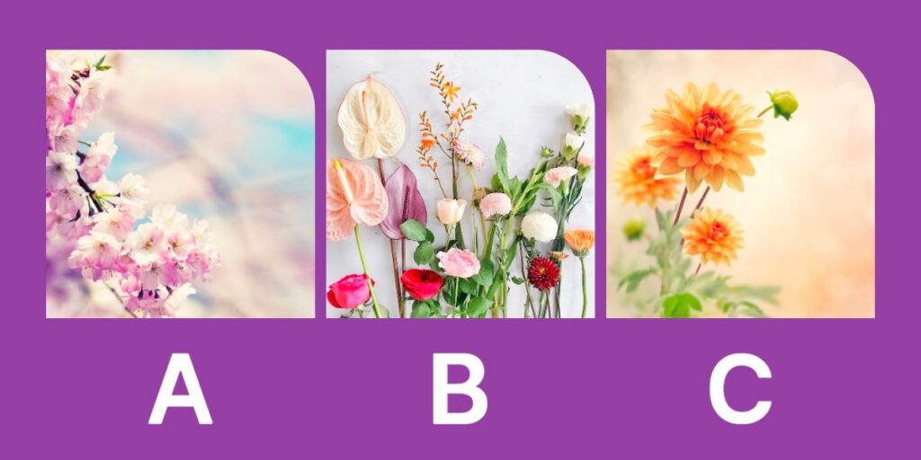 تست شخصیت شناسی | آدم بی حوصله ای یا خیلی صبوری؟ یک گل انتخاب کن