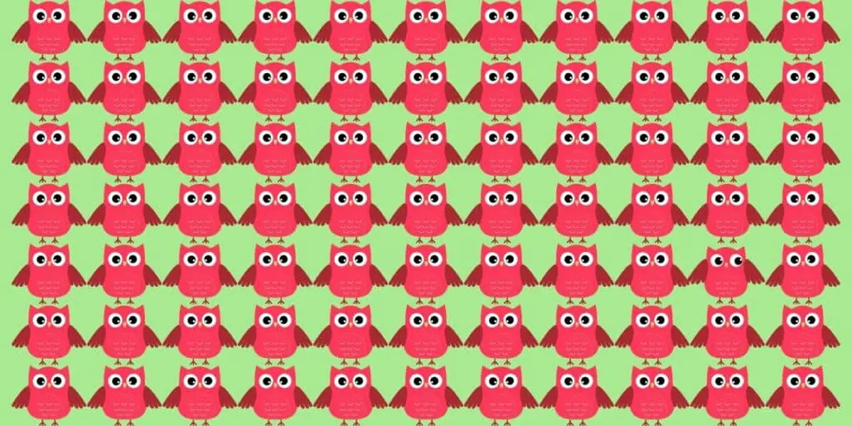 تست هوش | اگه چشمات مثل عقابه جغد متفاوت رو پیدا کن فقط در 5 ثانیه