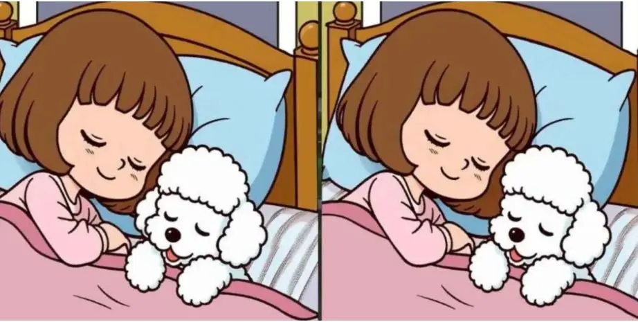 فقط نابغه‌ها متوجه ۳ تفاوت بین تصویر دختر و سگ‌ می شوند!