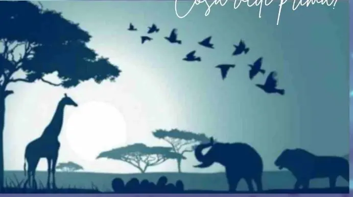 بگو چه حیوانی را اول دیدی تا بزرگترین ضعف تو را فاش کنم | تست شخصیت شناسی