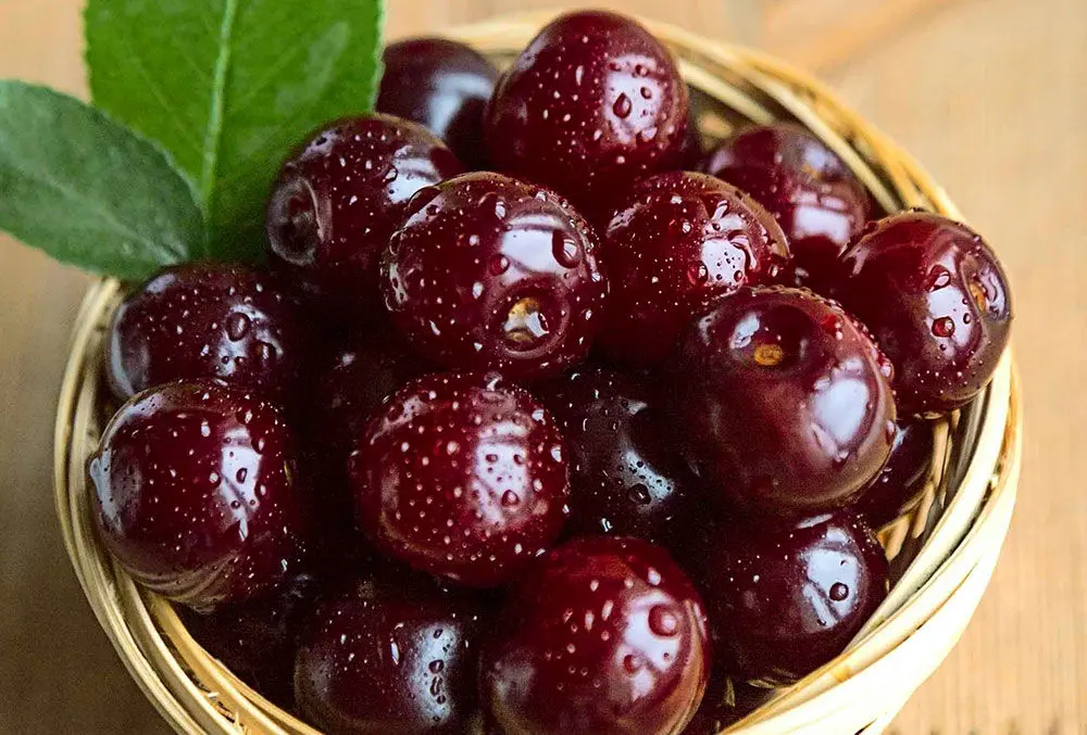 میخوای استخونت محکمتر آهن و فولاد بشه کلیک کن تا بگم کدوم خوراکی رو مصرف کنی