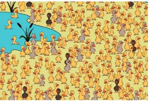 بازی فکری؛ اگه تک تک سلولات سرشار از هوشه درنگ نکن جوجه اردک زشت رو تو 7 ثانیه پیدا کن!