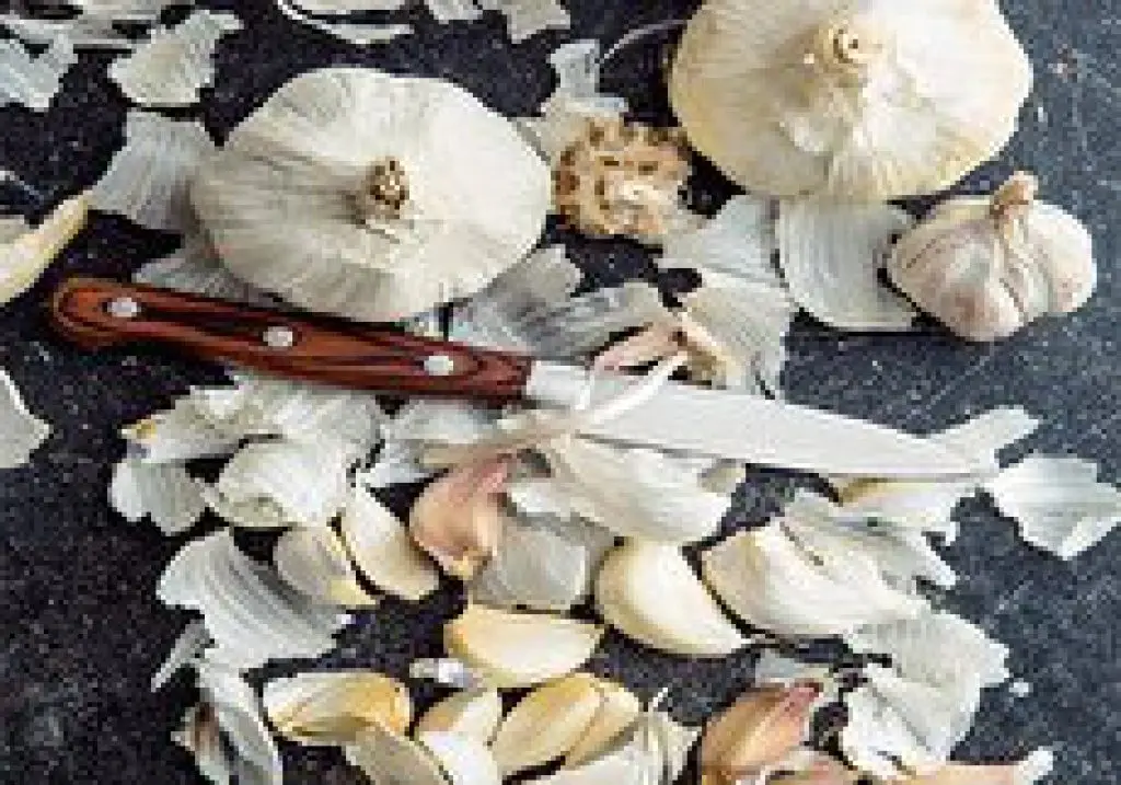 تمام عمر از خواص خوردن پوست سیر غافل شده ایم / خواص بی نظیر پوست سیر که تا حالا نمیدانستیم