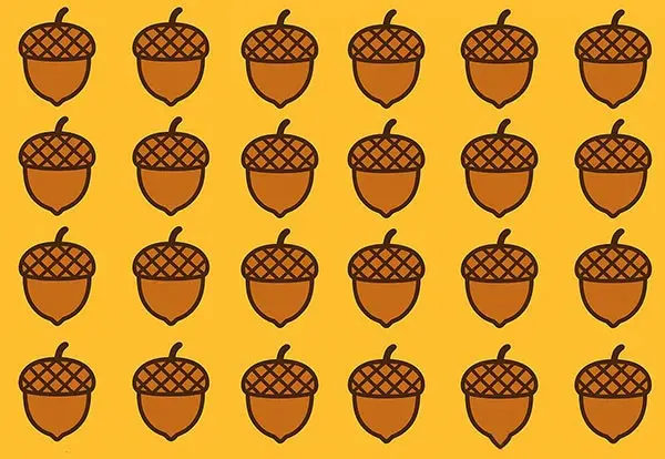 بازی فکری : با چشم های تیزبین بلوط متفاوت را در 3 ثانیه پیدا کنید!