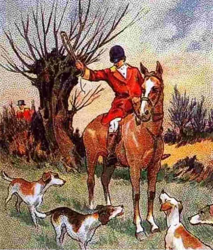 تست هوش |  آیا می توانید روباه را در میان شکارچیان و سگ ها تشخیص دهید؟
