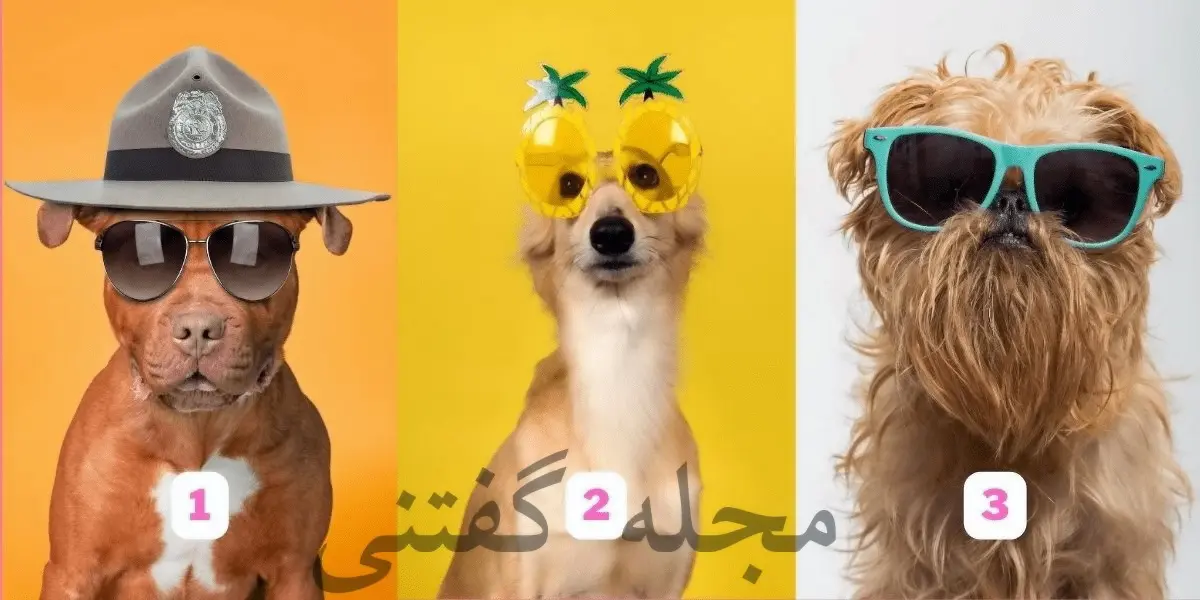 تست شخصیت شناسی | یک هاپوی جذاب انتخاب کن تا بگم چقدر خفنی!!!