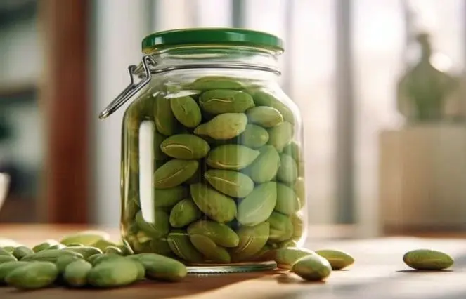  طرز تهیه ترشی چغاله بادام  بدون کپک زدن