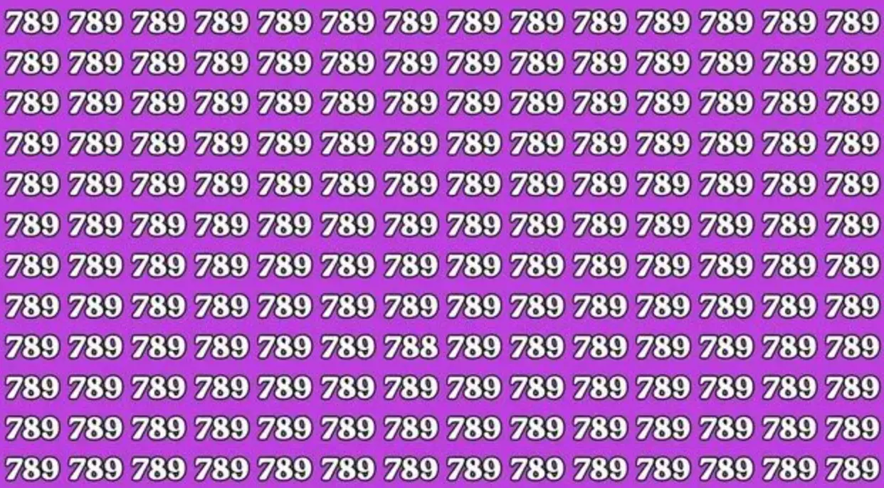 بازی فکری: فقط اوناییکه دید شاهینی دارن  عدد ۷۸۸ را در ۹ ثانیه  پیدا می کنند!
